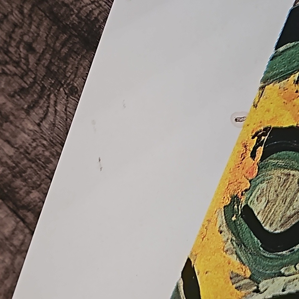 VTG Museum Print GIRL BEFORE A MIRROR by Pablo Picasso Printed in the U.S.A 1988 - Picture 12 of 14